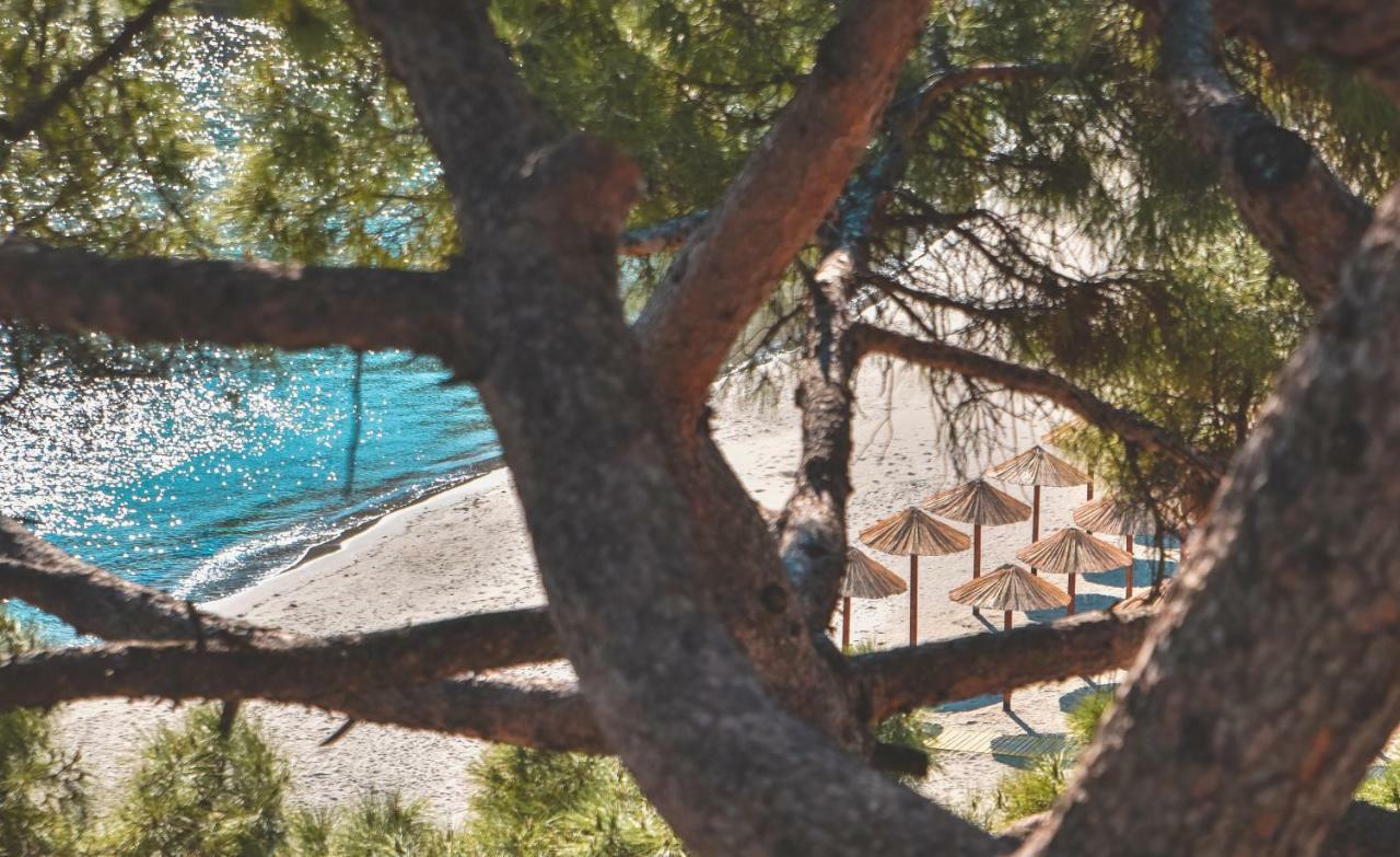 Riva Bed and Breakfast Ulcinj Exteriör bild